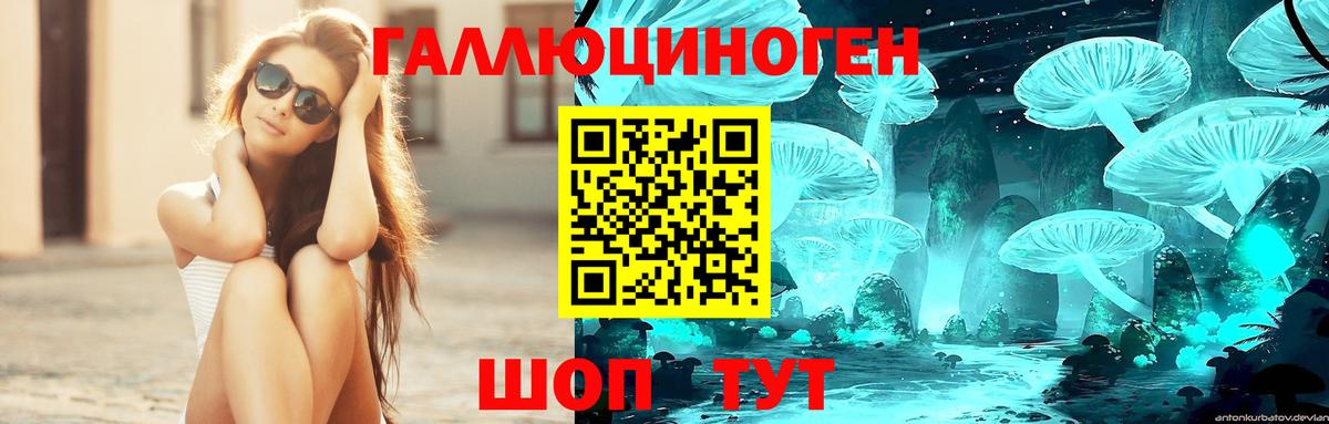 Абакан  Галлюциногенные грибы мухоморы  Вход с VPN 