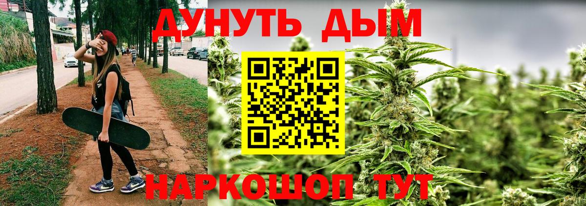 Шишки марихуана Amnesia Абакан